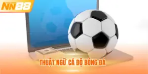 Thuật Ngữ Cá Độ Bóng Đá Dành Cho Tân Thủ Mới Nhập Môn